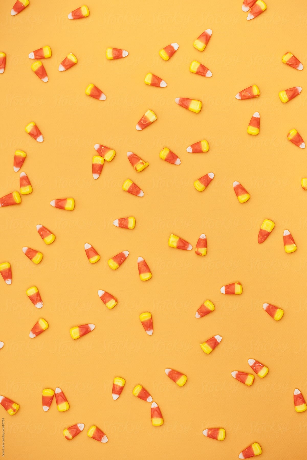 SUMMERWEEN COLLECTION